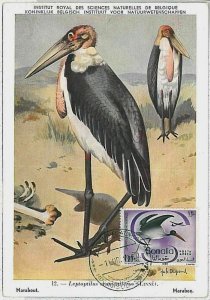 29222 - SOMALIA - POSTAL HISTORY - 1960 BIRDS animals maximum card-