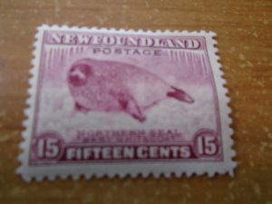 Newfoundland  # 262  MNH