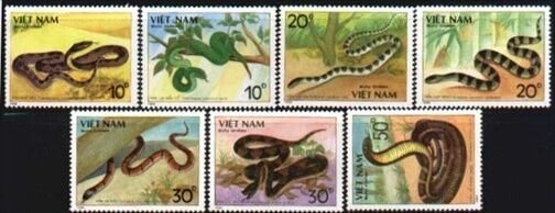 N.Vietnam MNH Sc # 1972-78 Mi 2029-35 Value $ 5.75 US $$ Snakes