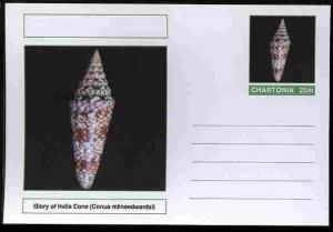 Chartonia (Fantasy) Shells - Glory of India Cone (Conus m...