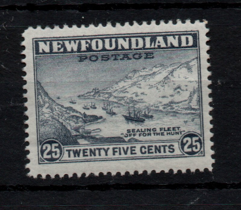 Newfoundland 1932 25c Perf 14 mint MNH SG219b #197d WS43537