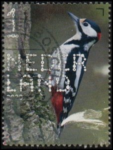 Netherlands 1614d - Used - 1 (91c) Great Spotted Woodpecker (2020) (cv $2.25)