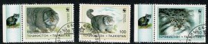 Tajikistan #92-94 wildcats CTO