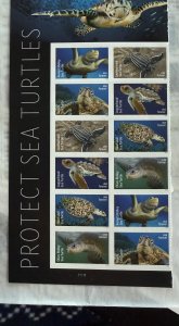 US 2024 Forever Protect Sea Turtles #5865-70 plte bk of 12 mint