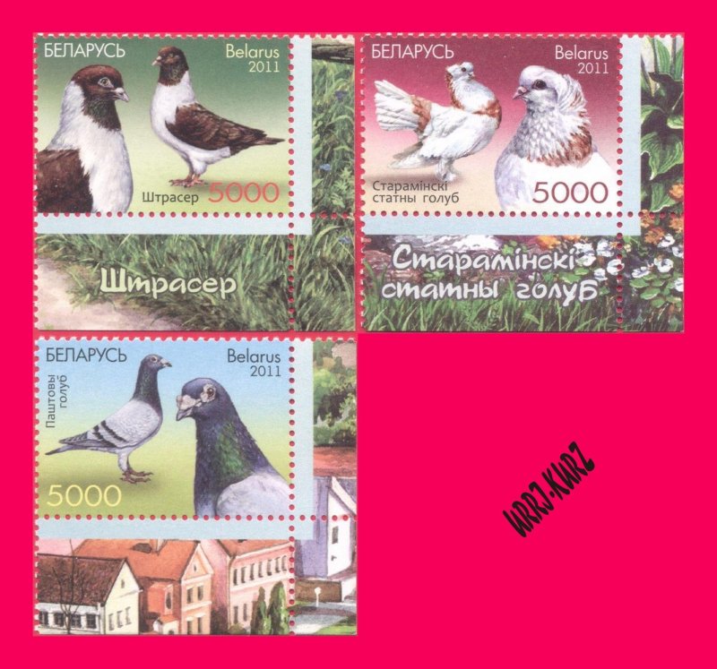 BELARUS 2011 Nature Fauna Birds Pigeons Doves 3v Sc789-791 Mi880-882 MNH