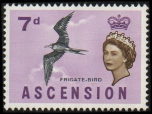 Ascension 81 - Mint-H - 7p Frigate Bird (1963) (cv $1.40)