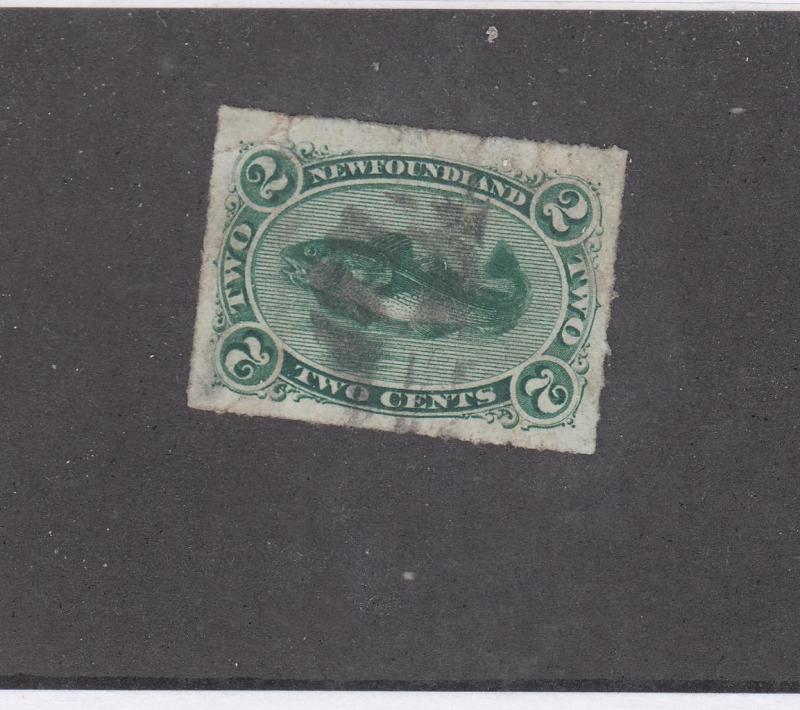 NEWFOUNDLAND # 38 VF-LIGHT USED 2cts CODFISH ROULETTED CAT VALUE $70