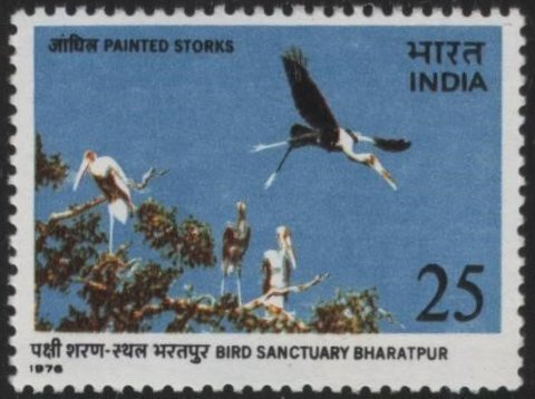 India 713 (mh) 25p Keoladeo Ghana, water bird sanctuary (1976)