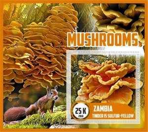 Stamps.  Mushrooms  2018 6 sheets perforated