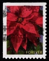 #4816 Poinsetta (Off Paper)- Used