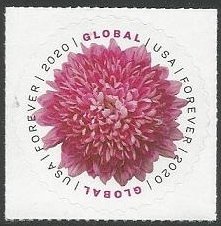 Scott #5460 MNH Chrysanthemum Global Forever