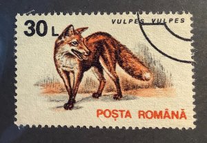 Romania 1993 Scott 3839 used - 30L,  Red Fox