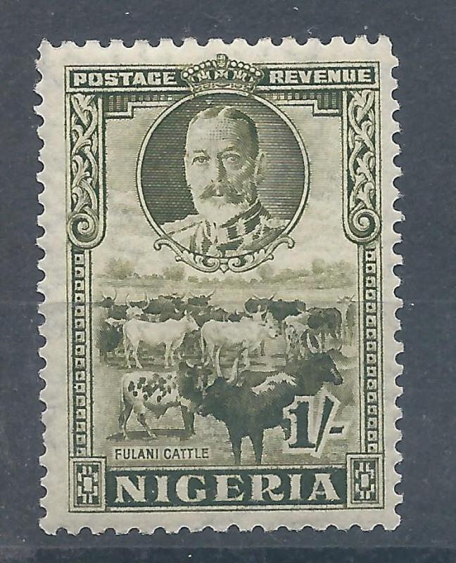 Nigeria 49 H
