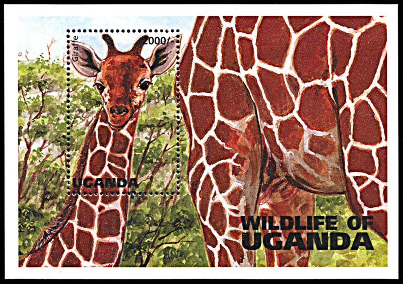 Uganda 1396, MNH, Giraffe souvenir sheet