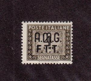 Trieste Scott #J9 MH