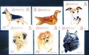 Fauna. Dog 1992.