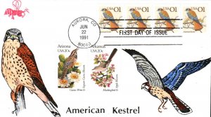 #2476 American Kestrel B Line FDC