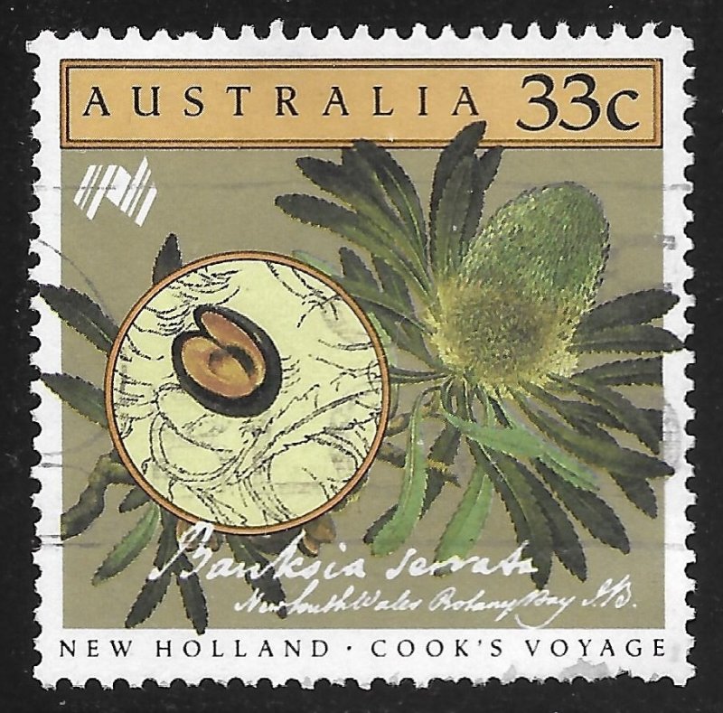 Australia #977 33c Cook's Expedition - Flowers - Banksia Serrata