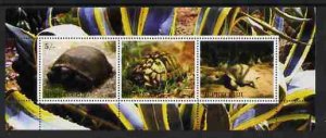 KARACHAEVO - 2000 - Tortoises - Perf 3v Sheet - Mint Never Hinged -Private Issue