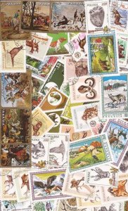 Hunting on Stamps Collection - 50 Different Stamps