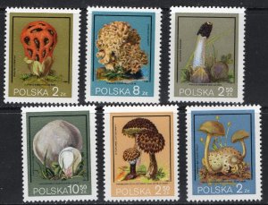 Thematic stamps POLAND 1980 FUNGI 2679/84 mint