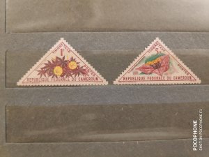 Cameroon	flowers (F7)