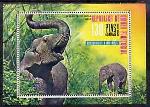 EQUATORIAL GUINEA - 1976 - Asian Animals - Perf Souv Sheet - MNH