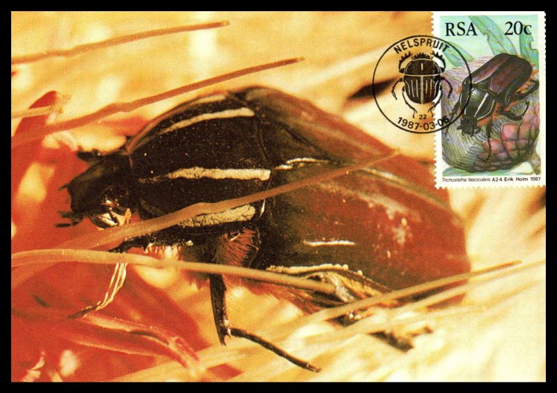 South Africa 690-693 Insects Set of Four Maxi Cards U/A FDC