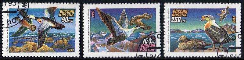 Russia: SC#6155-57 90R-250R Ducks (1993) CTO/NH