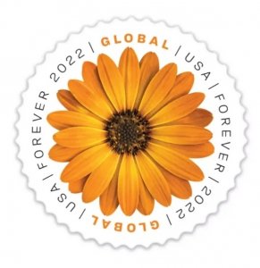 2022 Global African Daisy  forever stamps  10 Booklets 100pcs