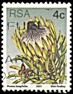 South Africa 478, used, Long-leaf Sugarbush