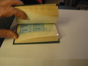 Plate Block Book  Includes 50 PB's mostly 3 centers MINT NH⭐⭐⭐⭐⭐