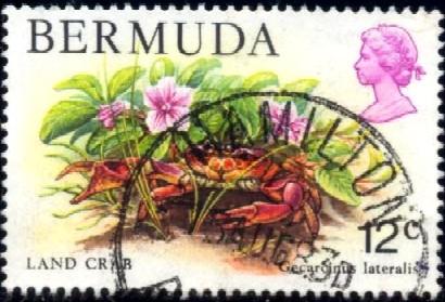 Marine Life, Land Crab, Bermuda stamp SC#369 used