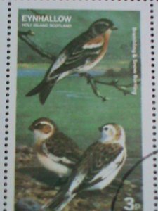 ​EYNHALLOW-SCOTLAND STAMP 1974 COLORFUL LOVELY WORLD BEAUTIFUL BIRDS-CTO-SHEET