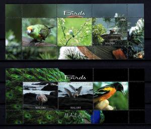 MALAWI - 2012 - BIRDS - PARROT - SEABIRDS - SONGBIRD - BATH + 2 X MINT S/SHEETS!