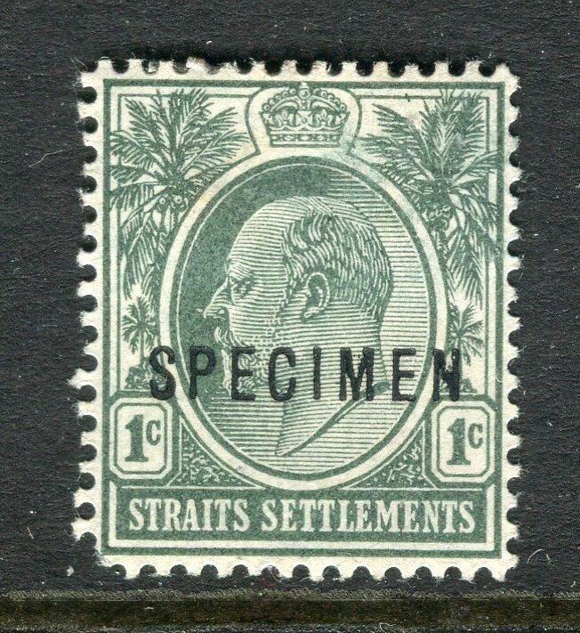 STRAITS SETTLEMENTS; 1904 early Ed VII issue Mint hinged SPECIMEN 1c. value