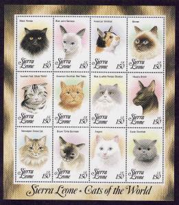 Sierra Leone-Sc#1644-unused NH sheet-Cats-1993-