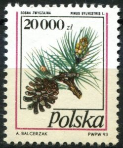 Poland Sc#3164 MNH, 20000z multi, Pine Cones (1993)