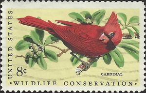 # 1465 USED CARDINAL