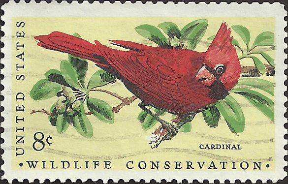 # 1465 USED CARDINAL