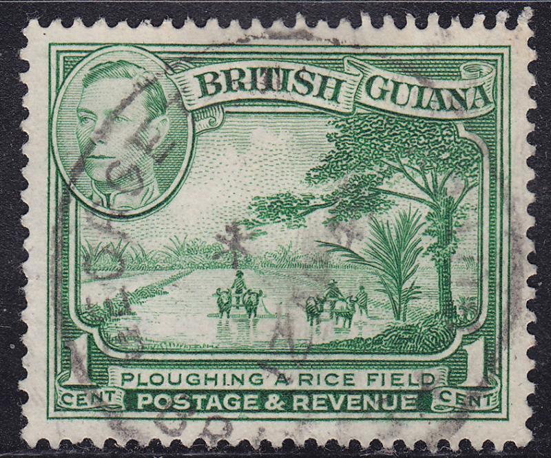Br Guiana 230b USED 1949 Rice Field Plowing