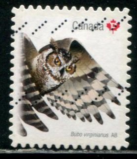 2931 Canada P Great Horned Owl SA, used