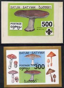 Batum 1994 Fungi - Wood Blewits with Scout emblem, origin...