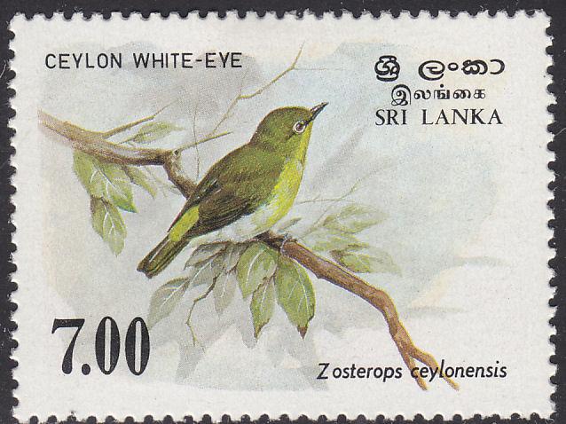 Sri Lanka 877 Ceylon white-eye 1988