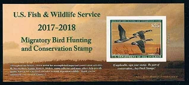 RW84A MINT FEDERAL DUCK STAMP OF 2017 - OGNH - VF - (ESP#0476)