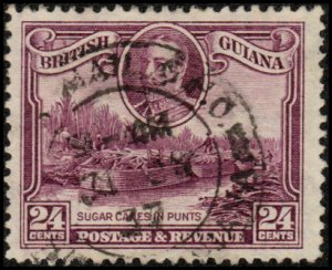 British Guiana 216 - Used - 24c Sugar Cane in Punts (1934) (2023 cv $15.00)