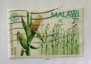 Malawi 1981  Scott 386  used - 7t,   World food day,  corn