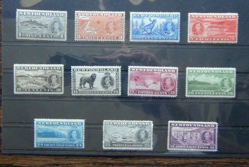 Newfoundland 1937 Additional Long Coronation set MM Sg257 - SG267