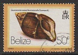 1980 Belize - Sc 482 - used VF - Leucozonia nassa