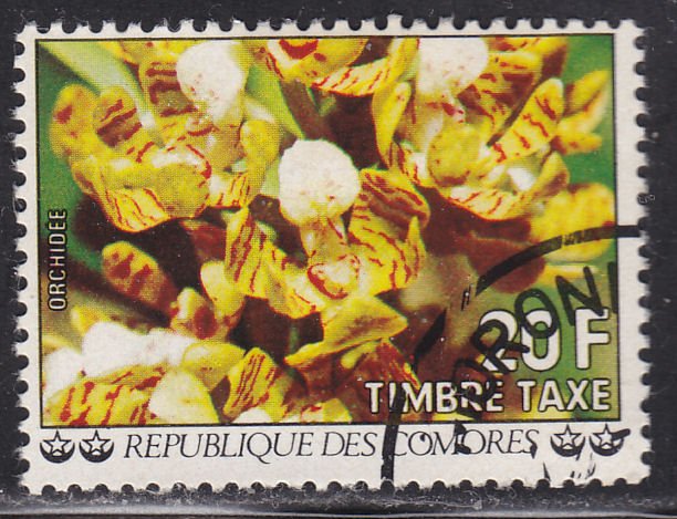 Comoro Islands J11 Flowers 1977